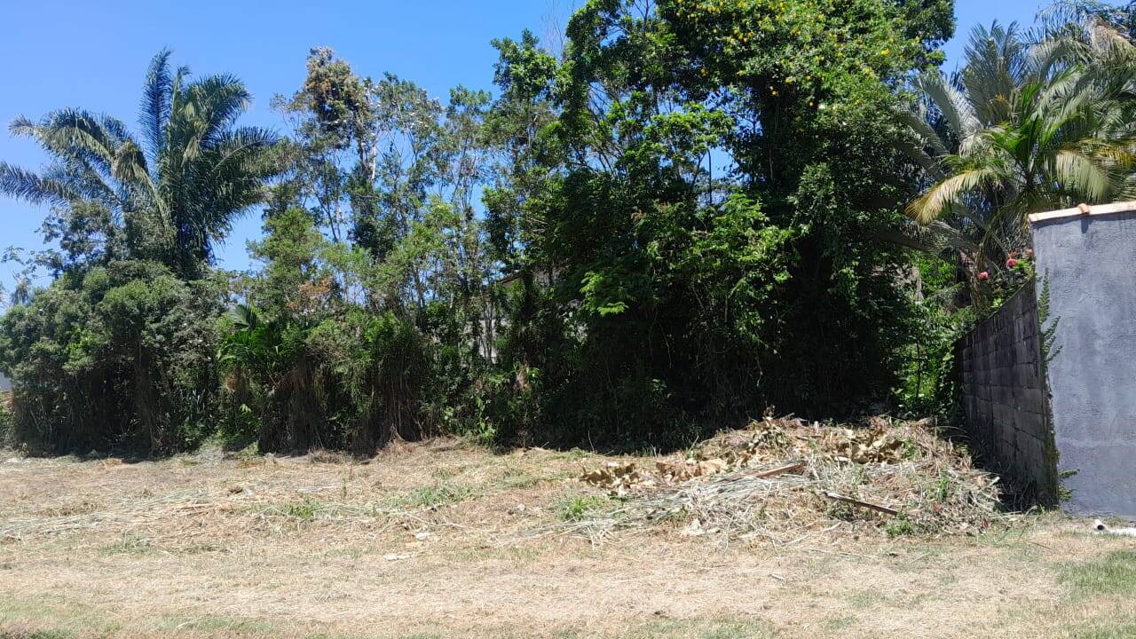 Terreno à venda, 342m² - Foto 1