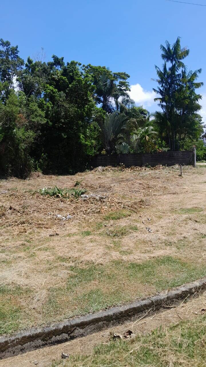 Terreno à venda, 342m² - Foto 3